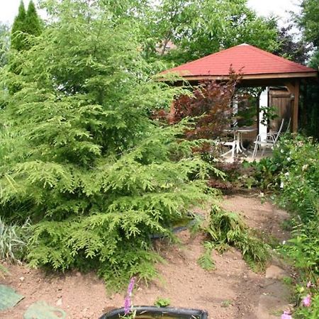 Pension Haus Zum Schlehenberg 바이로이트 외부 사진