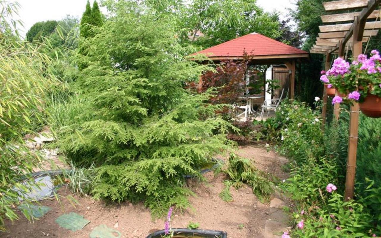 Pension Haus Zum Schlehenberg 바이로이트 외부 사진